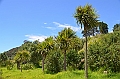 058_New_Zealand_Coromandel_Peninsula
