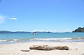 066_New_Zealand_Coromandel_Peninsula_Cooks_Beach