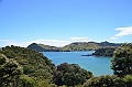 102_New_Zealand_Coromandel_Peninsula