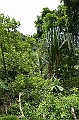 129_Papua_New_Guinea_Tufi