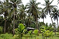 181_Papua_New_Guinea_Kitava_Island