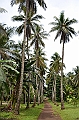 192_Papua_New_Guinea_Kitava_Island