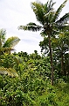 196_Papua_New_Guinea_Kitava_Island