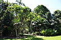 125_Australia_Cairns_Botanic_Gardens