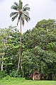 017_Vanuatu_Ureparapara