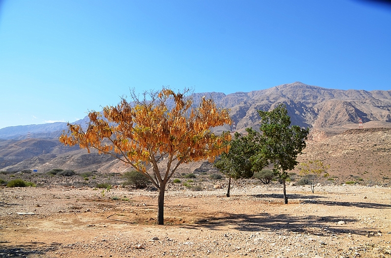 103_Oman_Sinkhole_Park.JPG