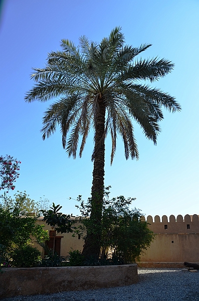 345_Oman_Rustaq_Al_Hazm_Castle.JPG