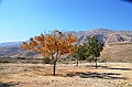 103_Oman_Sinkhole_Park