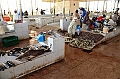 339_Oman_Barka_Market