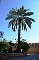 345_Oman_Rustaq_Al_Hazm_Castle