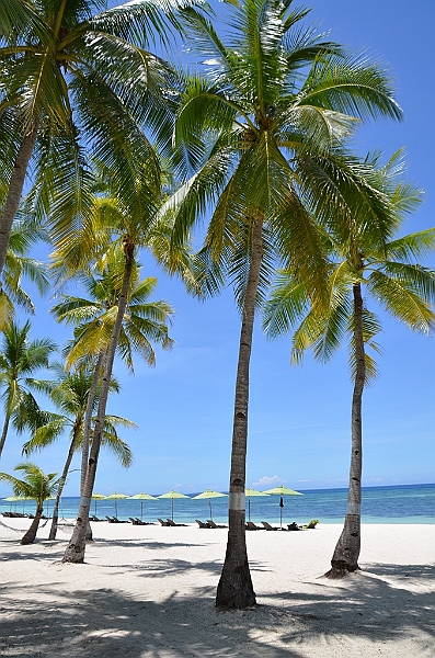 154_Philippines_Bohol_South_Palms_Resort_Panglao.JPG
