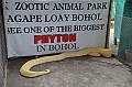 223_Philippines_Bohol_Python