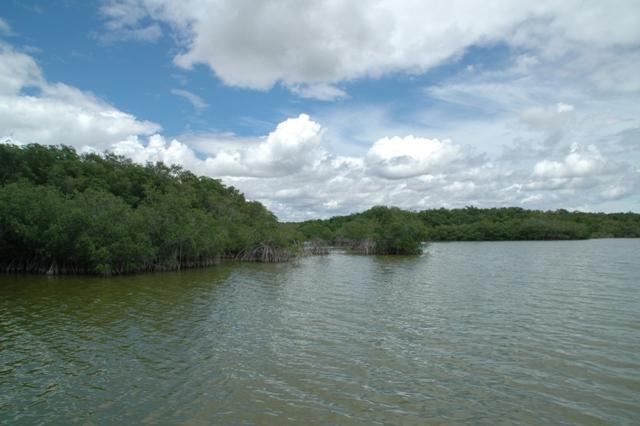 218_USA_Everglades_National_Park.JPG