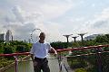 2016_11_Singapore_Gardens_by_the_Bay
