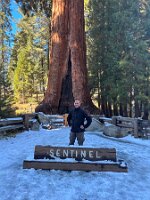 2024_14_USA_Kalifornien_Sequoia_NP