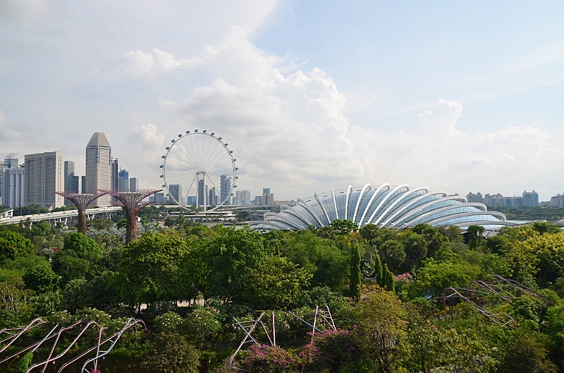 033_Singapore_Gardens_by_the_Bay.JPG