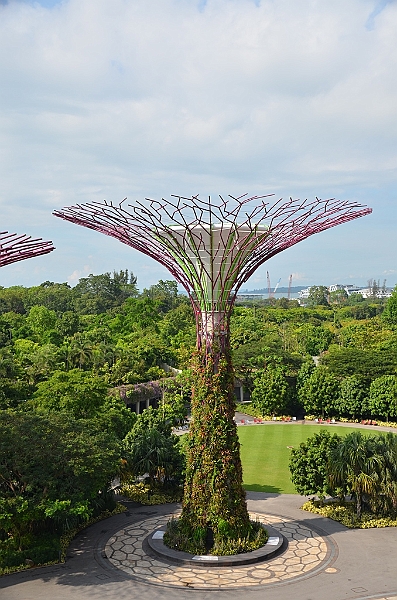 034_Singapore_Gardens_by_the_Bay.JPG