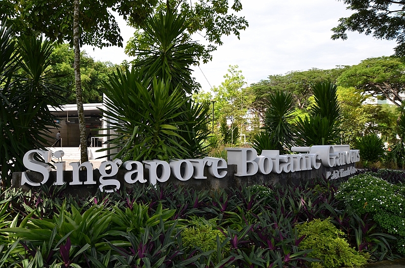 130_Singapore_Botanic_Gardens.JPG