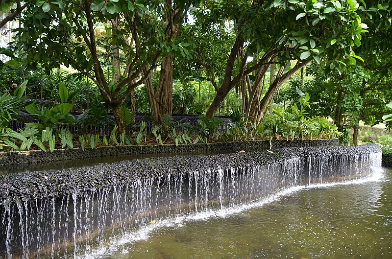 134_Singapore_Botanic_Gardens.JPG