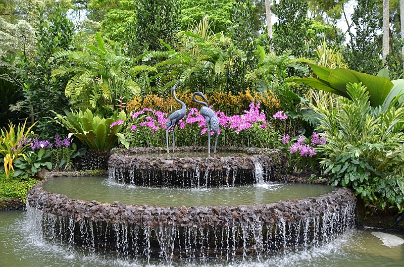 138_Singapore_Botanic_Gardens.JPG