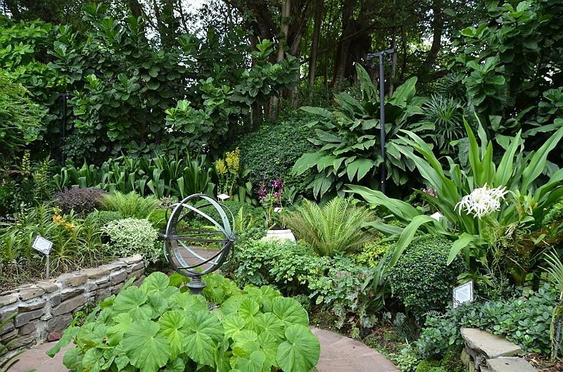 151_Singapore_Botanic_Gardens.JPG