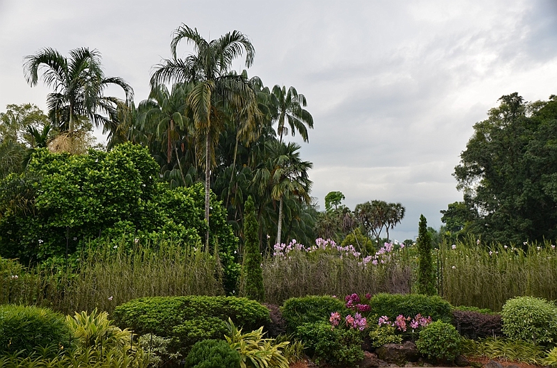 155_Singapore_Botanic_Gardens.JPG