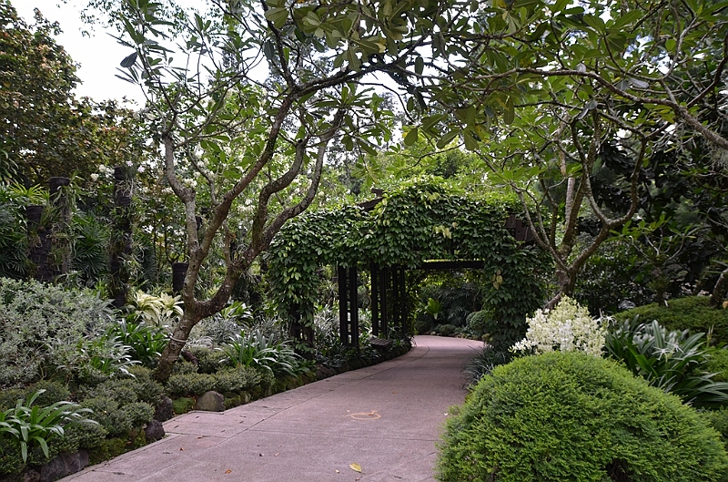 157_Singapore_Botanic_Gardens.JPG