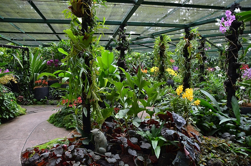 160_Singapore_Botanic_Gardens.JPG
