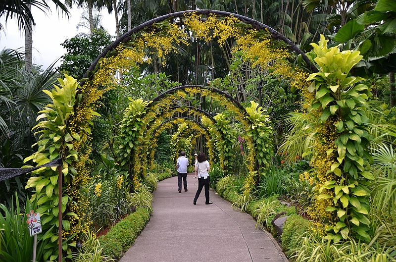 177_Singapore_Botanic_Gardens.JPG