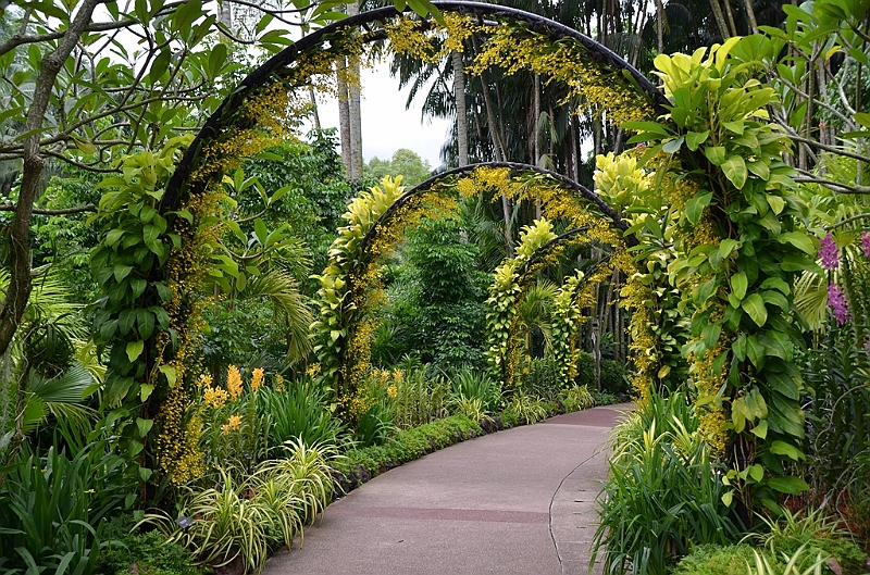 178_Singapore_Botanic_Gardens.JPG