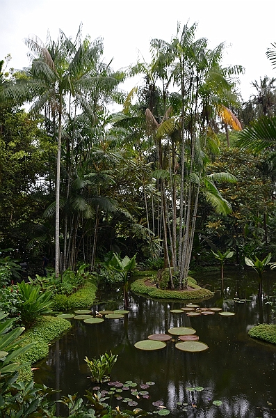 181_Singapore_Botanic_Gardens.JPG