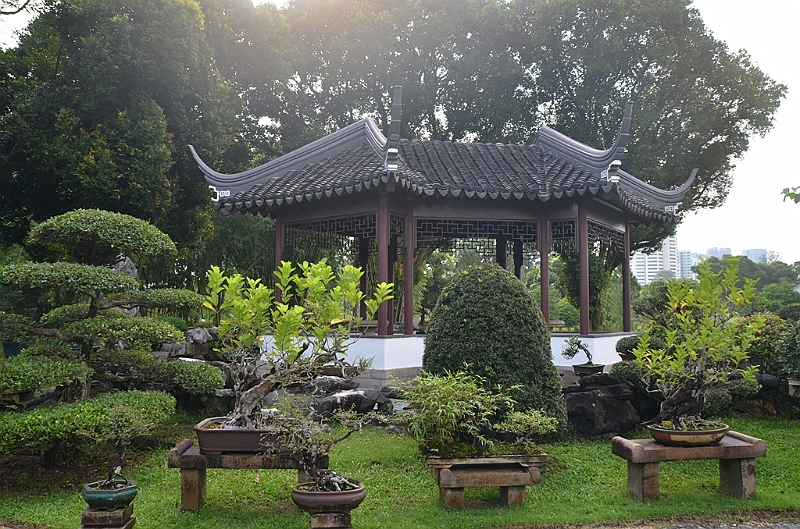 237_Singapore_Chinese_Garden.JPG