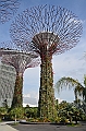030_Singapore_Gardens_by_the_Bay