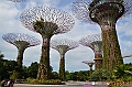 032_Singapore_Gardens_by_the_Bay