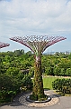 034_Singapore_Gardens_by_the_Bay