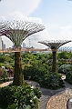 038_Singapore_Gardens_by_the_Bay