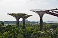 039_Singapore_Gardens_by_the_Bay