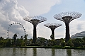 047_Singapore_Gardens_by_the_Bay