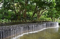 134_Singapore_Botanic_Gardens