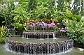 138_Singapore_Botanic_Gardens