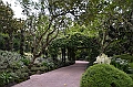 157_Singapore_Botanic_Gardens