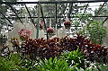 166_Singapore_Botanic_Gardens