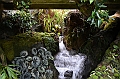 169_Singapore_Botanic_Gardens