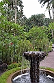 176_Singapore_Botanic_Gardens