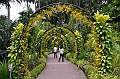 177_Singapore_Botanic_Gardens