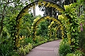 178_Singapore_Botanic_Gardens