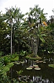 181_Singapore_Botanic_Gardens