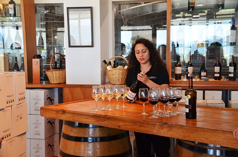 194_Chile_Indomita_Winery.JPG