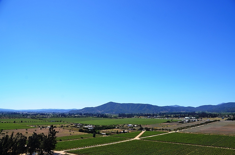 195_Chile_Indomita_Winery.JPG