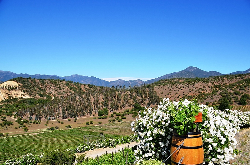 197_Chile_Indomita_Winery.JPG